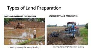 Sustainable land preparation for farmer-managed lowland ... - UNSRI - raincitystudios.com