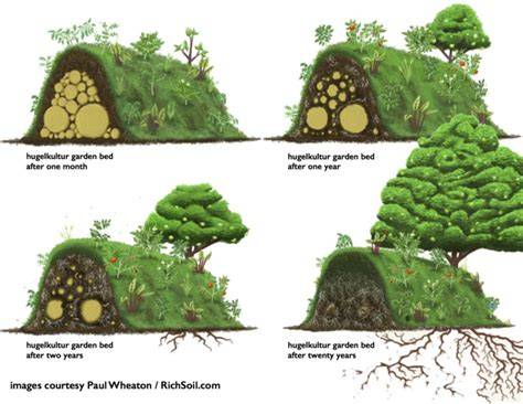 Sustainable Landscapes: Creating a Hügelkultur for Gardening with ... - raincitystudios.com