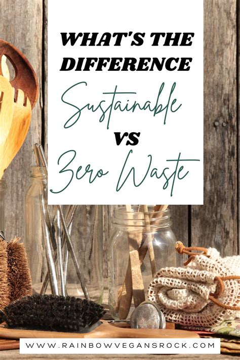 Sustainable Living Vs. Zero Waste - Earth5R - raincitystudios.com