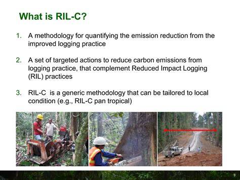 Sustainable logging: a key contributor to carbon reduction - raincitystudios.com