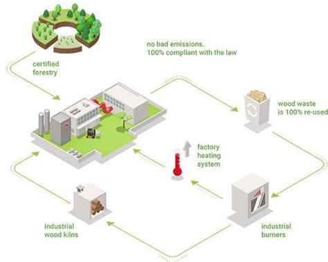 Sustainable logging: why it is beneficial for our ecosystem - raincitystudios.com