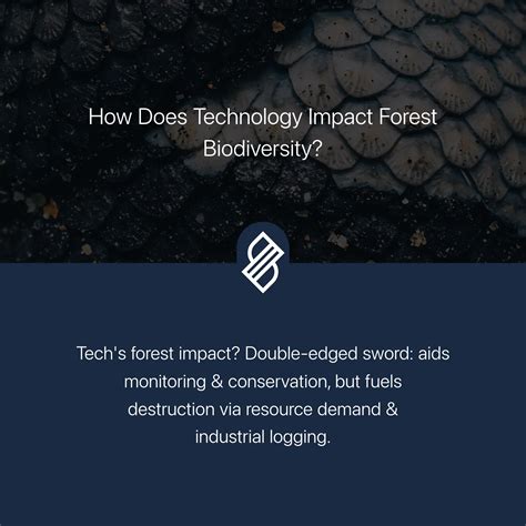 Sustainable Logging Practices → Term - raincitystudios.com