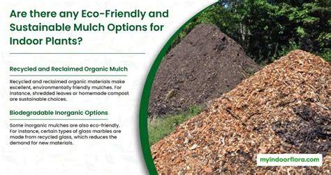 Sustainable Mulch: What is it and How to Choose - Soil … - raincitystudios.com
