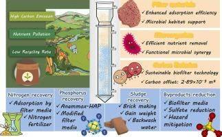 Sustainable nutrients removal from low-strength wastewater: A ... - raincitystudios.com