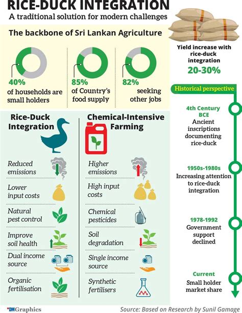 SUSTAINABLE RICE DUCK INTEGRATION FOR CLIMATE … - raincitystudios.com