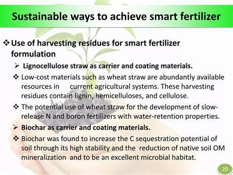 Sustainable SMART fertilizers in agriculture systems: A review on ... - raincitystudios.com