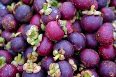Sustainable Strategies for Fresh Mangosteen: Adapting to Climate ... - raincitystudios.com
