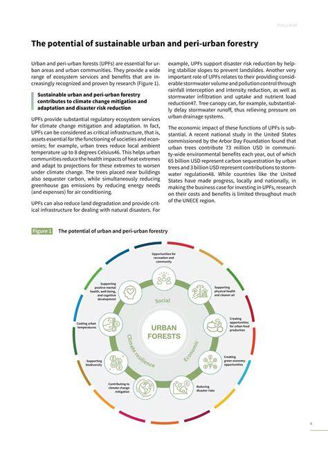 Sustainable Urban and Peri-urban Forestry - UNECE - raincitystudios.com