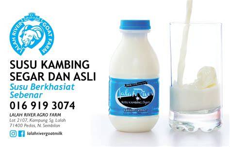 susu kambing pelacar air susu - Harga & Promo Terbaik | Lazada … - raincitystudios.com