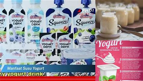 Susu Yoghurt - balustradellc