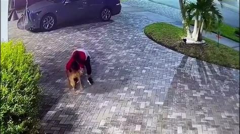 SW Miami-Dade residents say woman seen on surveillance video took family dog from driveway