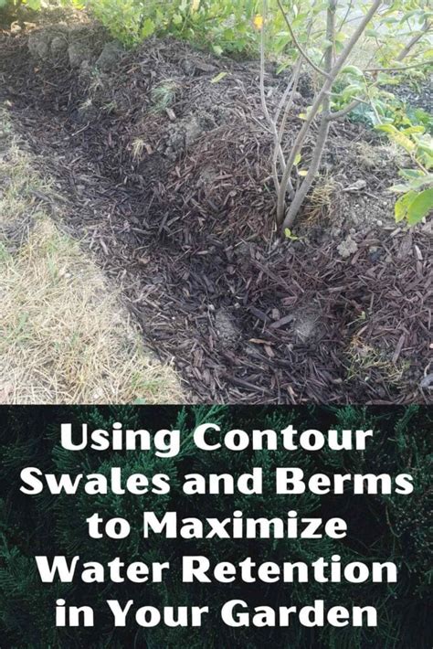 Swales And Contour Gardening For Water Retention - raincitystudios.com