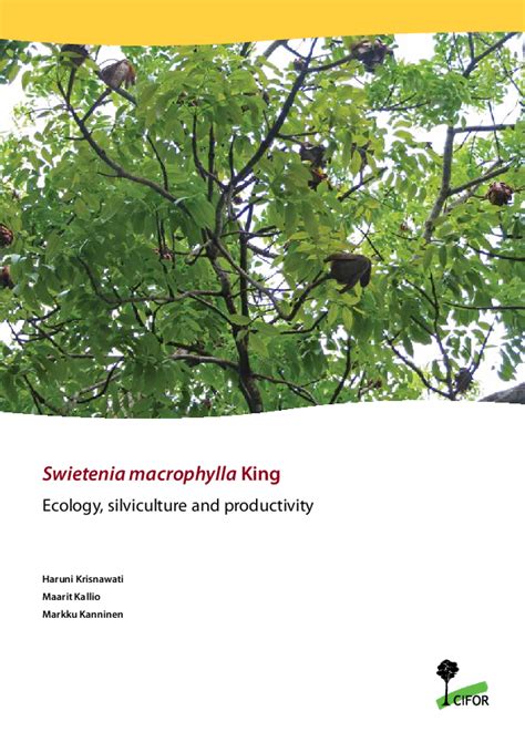 Swietenia macrophylla King: Ecology, silviculture and productivity ... - raincitystudios.com