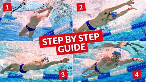 Swimming 101: How to Swim All Four Strokes | U - balustradellc