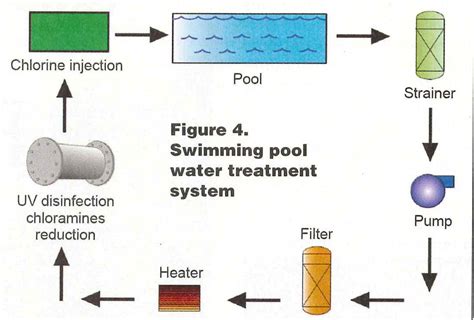 Swimming Pool Designs: Advancements in Water Treatment - balustradellc