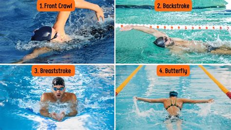 Swimming Strokes | Chose the right stroke for you and … - balustradellc