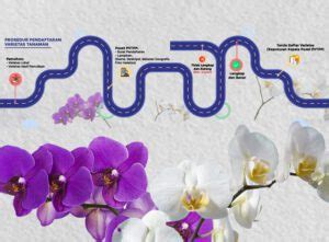 Syarat dan Jangka Waktu Perlindungan PVT di Indonesia - balustradellc