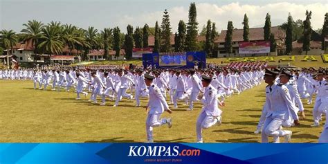 Syarat Nilai Rapor dan Fisik untuk Daftar Sekolah … - balustradellc