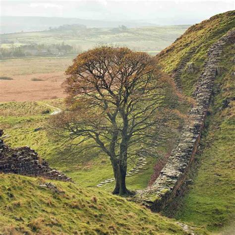 SYCAMORE GAP (Northumberland National Park)