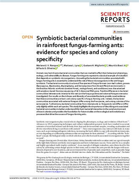 Symbiotic bacterial communities in rainforest fungus-farming ants ... - raincitystudios.com