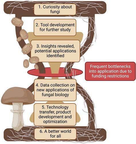 Symbiotic fungi as biotechnological tools: Methodological challenges ... - raincitystudios.com