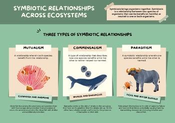 Symbiotic relationships within ecosystems - Khan Academy - muktibox.com