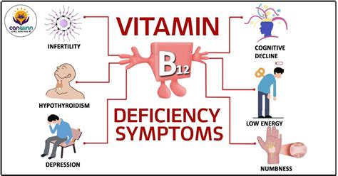 Symptoms of Vitamin B Deficiency - balustradellc