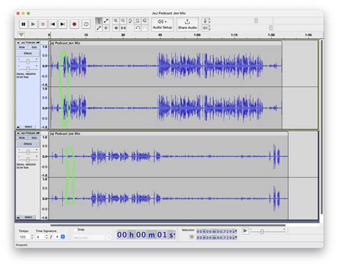 Syncing Audio and Video Tracks - balustradellc