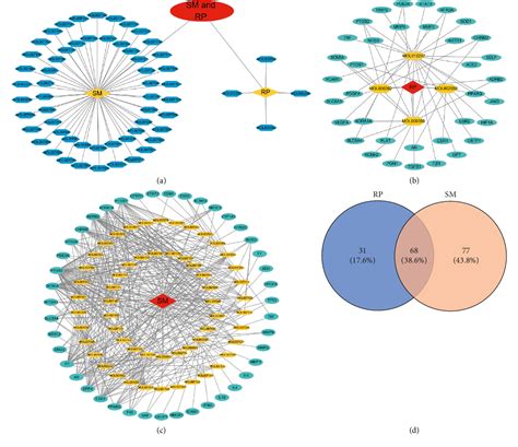 Synergistic Mechanisms and Product Regulation in the Co ... - MDPI - wintechmobiles.com