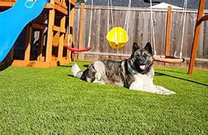 SYNLawn Utah Artificial Grass Sales and Installation Services