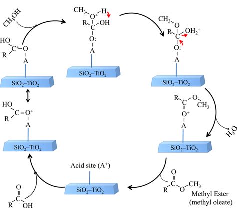 Synthesis of superacid sulfated TiO2 nanowires for esterification of ... - wintechmobiles.com