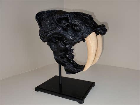 Saber Tooth Model - Etsy