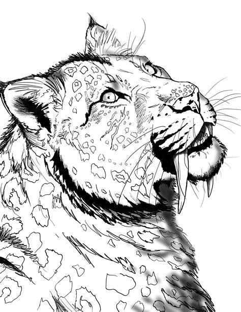 Saber Tooth Tiger Coloring Pages Free Coloring Pages For Kids