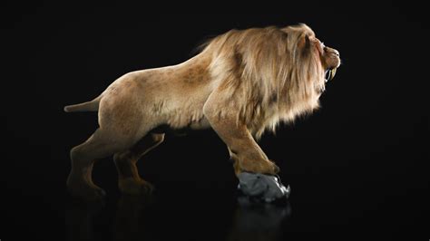 21 июл. 2019 г. ... Royalty free 3D model Smilodon Prehistoric Lion - Saber-toothed tiger Skeleton Skull for download as ma, max, obj, c4d, fbx, .... 