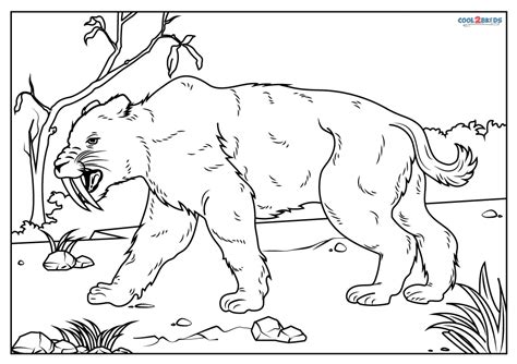 Rainbow Coloring Pages Printable Free