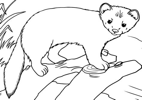 Free Plant Coloring Pages
