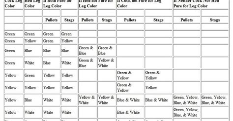 Sabong Cockfight Reference Chart for Leg Color