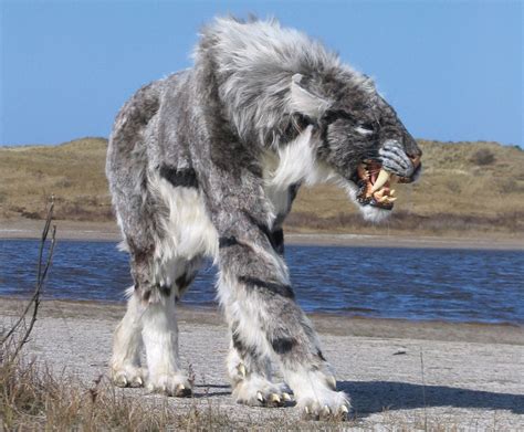 If familiar with images of the saber-toothed cat of the Americas, Smilodon, a mental picture of a large cat with long, slightly curved protruding canine teeth, will come to mind.The Tibetan find ...