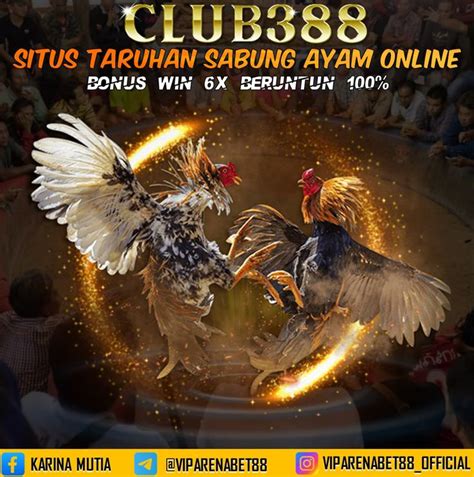Sabung ayam situs judi slot games onl. Bocoran hk arsip bocoran bandar.