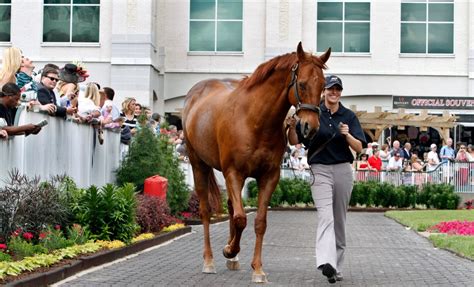 Sackatoga Stable honoring Funny Cide with send-off event