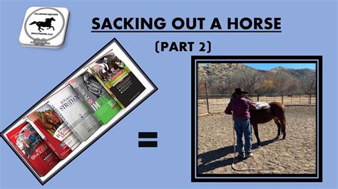 Sacking Out a Horse - CEOates