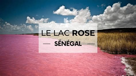Saclice Rose Onlyfans Leak