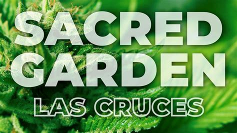 Sacred garden dispensary las cruces. Things To Know About Sacred garden dispensary las cruces. 