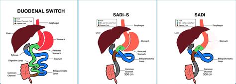 Sadi Halı ve Koltuk Yıkama