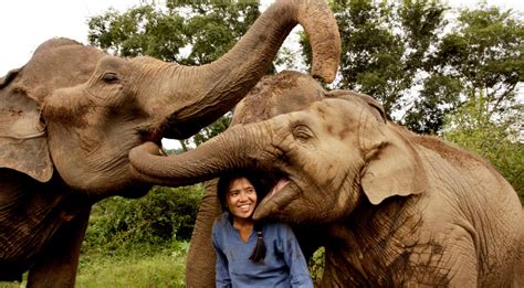 Saengduean &lsquo;Lek&rsquo; Chailert, Thailand&rsquo;s Elephant Warrior
