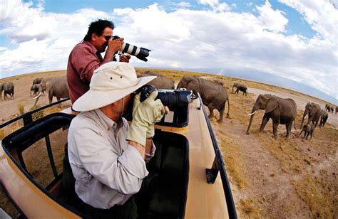 Safari Photography Tips for Beginners - FixThePhoto.com