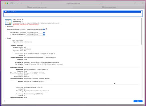 Safari disable websockets. .  I'm skeptical about this, because websocket is something th...