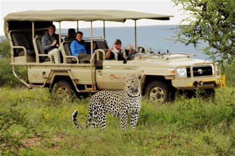 Safari trips in africa. A Fully Flexible East Africa Safari. Africa Kenya Safaris offers you dozens of customizable adventures based on your special wishes. We work with scores of ... 