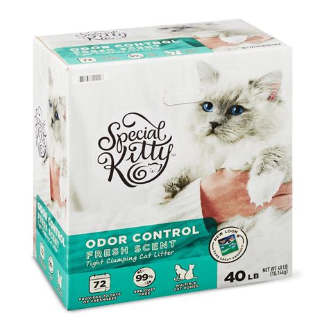 Safe Kitten Litter - Walmart