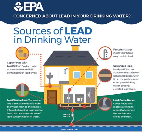 Safe Levels of Lead in Water Ppb (Is Any Amount Safe?) Find Out